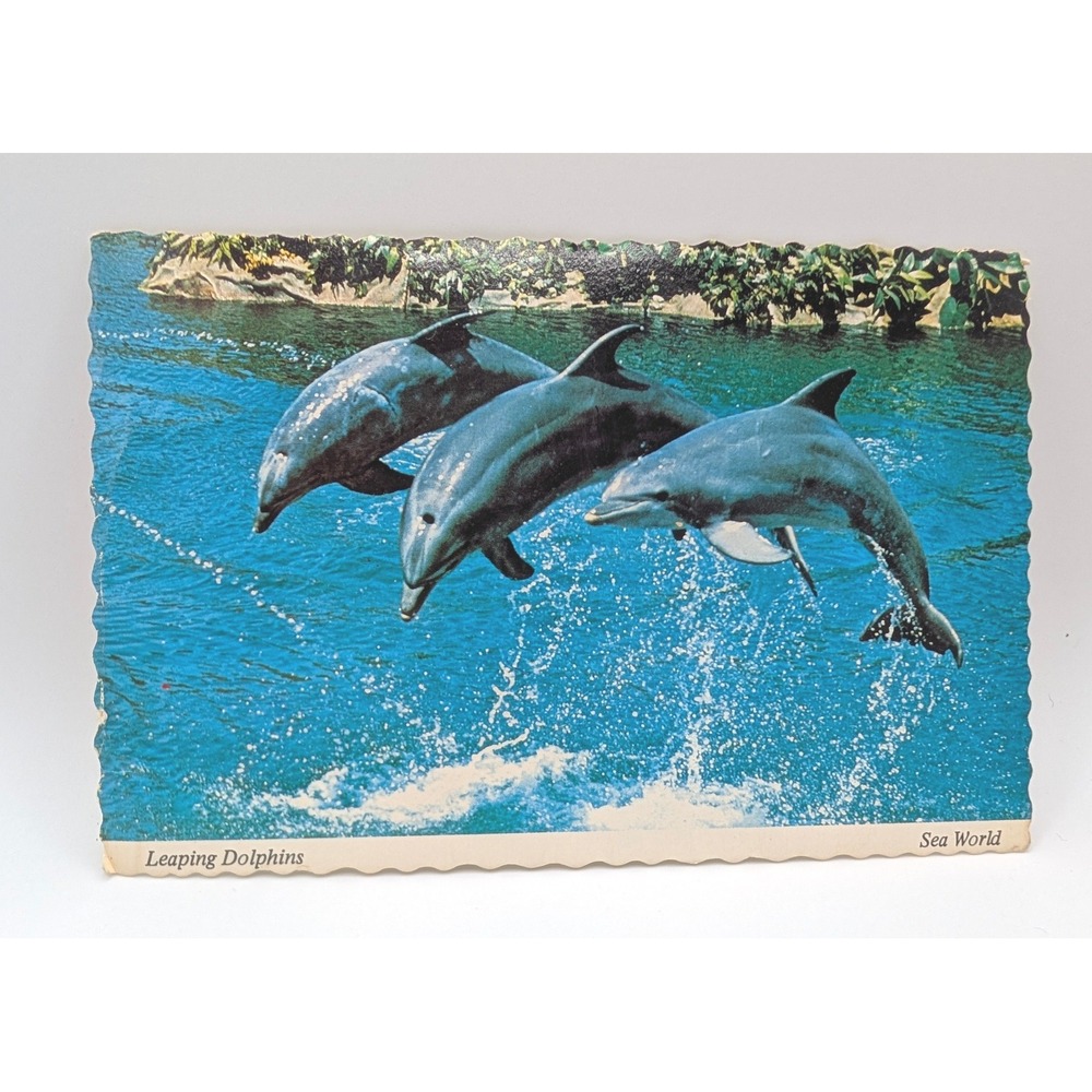 Vintage Sea World Postcards Leaping Dolphins & Shamu Diving Whale Ride Set of 2